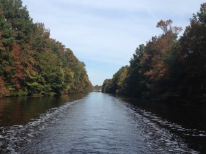 The Dismal Swamp is not dismal!
