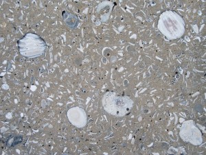 An example of tabby--using oyster shells and limestone.