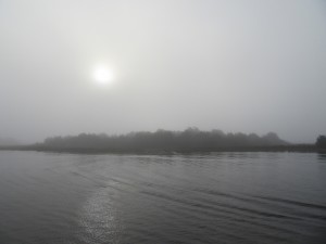 The morning sun trying to burn off the fog