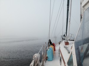 Hanging my head out to see in the fog