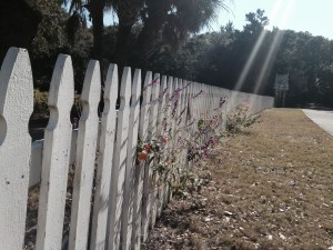 This picket fence spoke to me