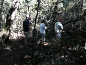 Hiking in the preserve