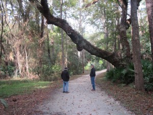Friend and Guide Paul with Dudley on one of many pedestrian/bike paths on Jekyll Island.