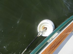 Mooring ball, with one end of pennant attached to ball (other end is attached to our boat). Current was pushing ball against our hull.