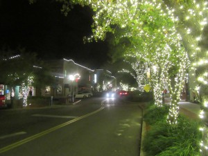 Street scene in Fernandina Beach.