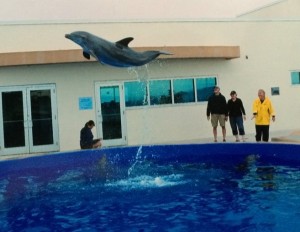 We are at the right, next to trainer Christy in yellow. Photo courtesy of Marineland.