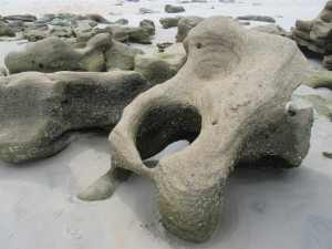 A naturally created Henry Moore sculpture.