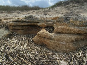 Coquina, easily believed as a building material.