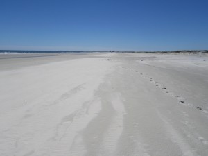 Long deserted beaches.