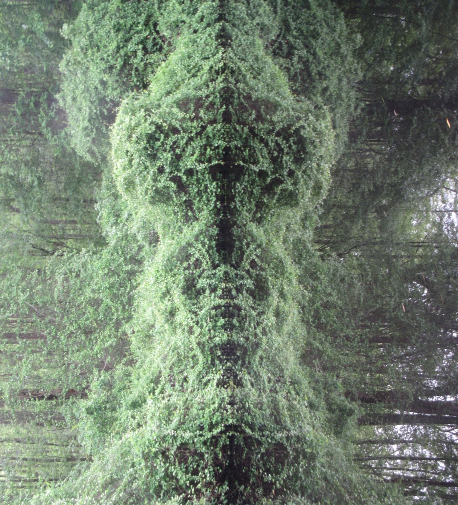 A Dismal Swamp Rorschach Test, Just for Fun (timeless)